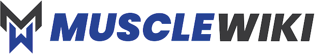 MuscleWiki Logo